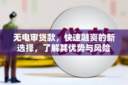 龙口无电审贷款，快速融资的新选择，了解其优势与风险