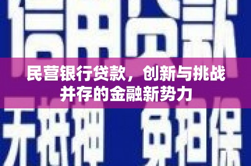 龙口民营银行贷款，创新与挑战并存的金融新势力