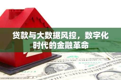 龙口贷款与大数据风控，数字化时代的金融革命