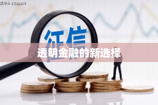 龙口透明金融的新选择