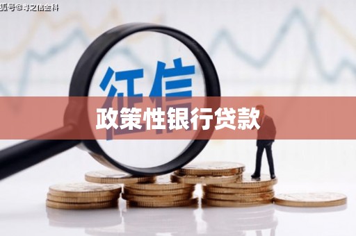 龙口政策性银行贷款