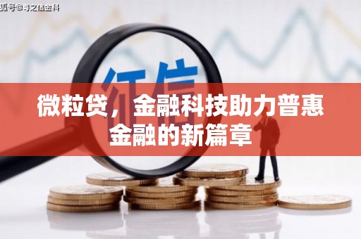 龙口微粒贷，金融科技助力普惠金融的新篇章