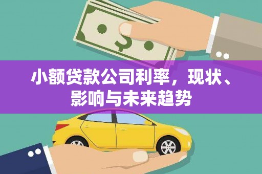 龙口小额贷款公司利率，现状、影响与未来趋势