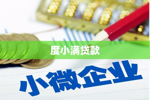 龙口度小满贷款