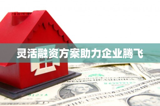 龙口灵活融资方案助力企业腾飞