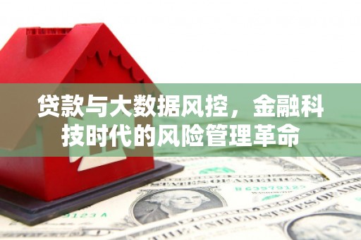 龙口贷款与大数据风控，金融科技时代的风险管理革命