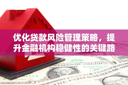 龙口优化贷款风险管理策略，提升金融机构稳健性的关键路径
