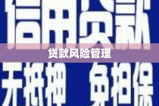 龙口贷款风险管理