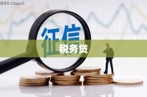 龙口税务贷