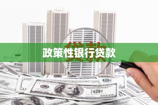 龙口政策性银行贷款