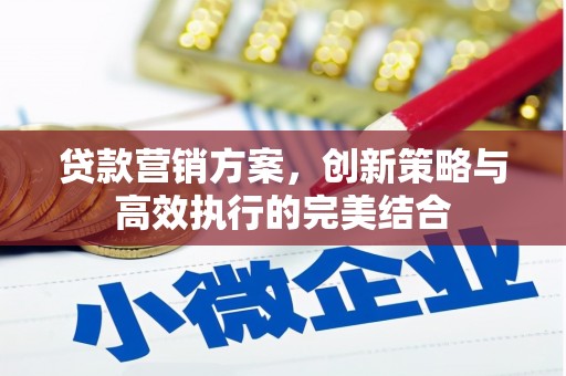 龙口贷款营销方案，创新策略与高效执行的完美结合