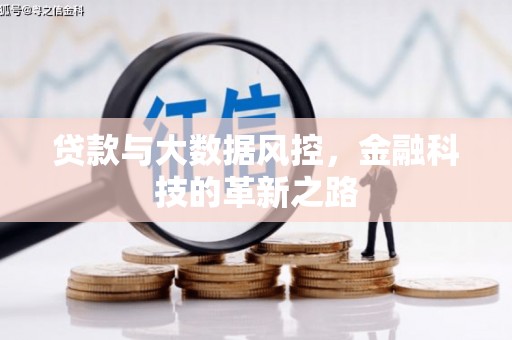 龙口贷款与大数据风控，金融科技的革新之路