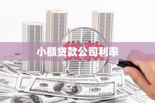 龙口小额贷款公司利率