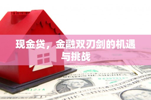 龙口现金贷，金融双刃剑的机遇与挑战