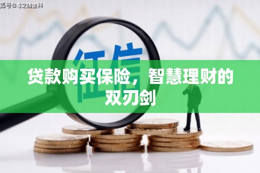 龙口贷款购买保险，智慧理财的双刃剑