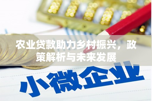 龙口农业贷款助力乡村振兴，政策解析与未来发展