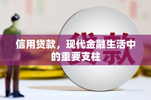 龙口信用贷款，现代金融生活中的重要支柱