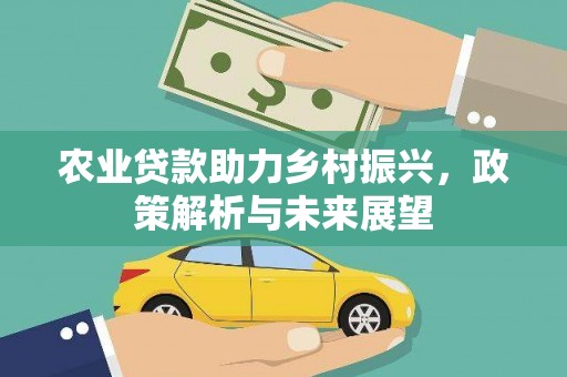 龙口农业贷款助力乡村振兴，政策解析与未来展望