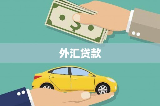 龙口外汇贷款