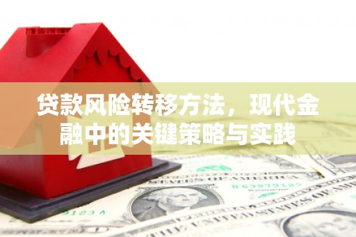 龙口贷款风险转移方法，现代金融中的关键策略与实践