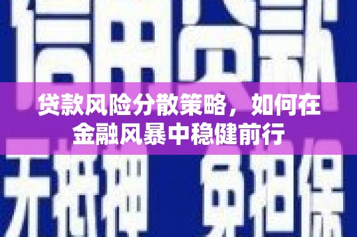 龙口贷款风险分散策略，如何在金融风暴中稳健前行