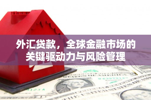 龙口外汇贷款，全球金融市场的关键驱动力与风险管理