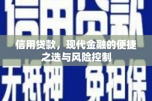 龙口信用贷款，现代金融的便捷之选与风险控制