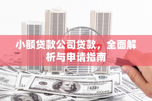 龙口小额贷款公司贷款，全面解析与申请指南