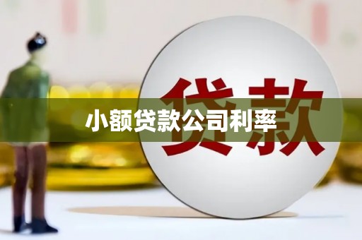 龙口小额贷款公司利率