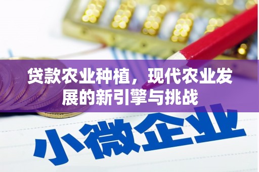 龙口贷款农业种植，现代农业发展的新引擎与挑战