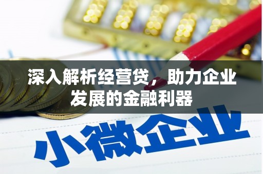 龙口深入解析经营贷，助力企业发展的金融利器