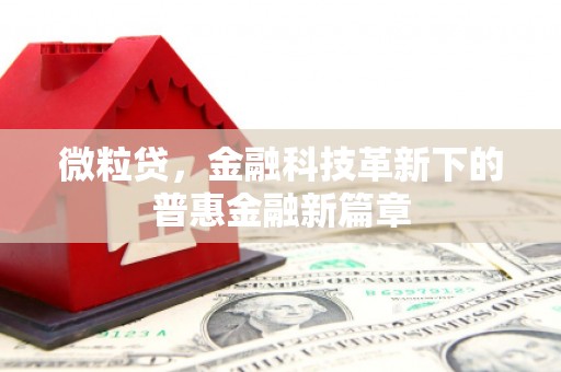 龙口微粒贷，金融科技革新下的普惠金融新篇章
