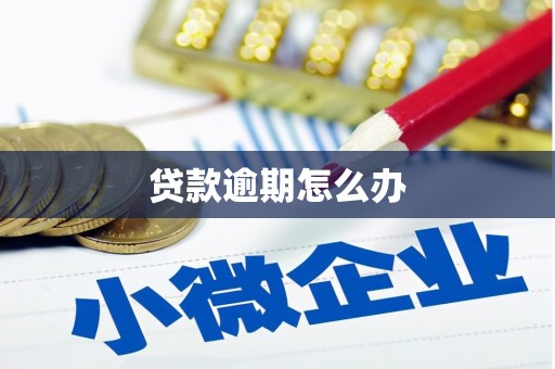 龙口贷款逾期怎么办