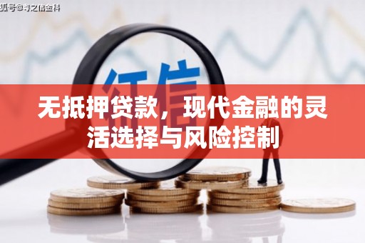 龙口无抵押贷款，现代金融的灵活选择与风险控制