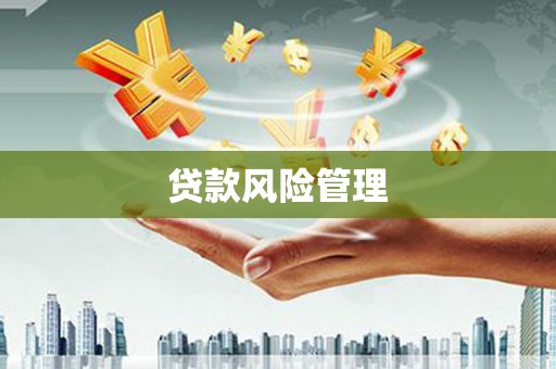 龙口贷款风险管理