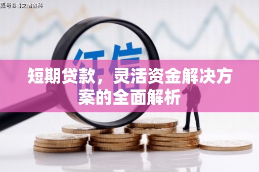 龙口短期贷款，灵活资金解决方案的全面解析