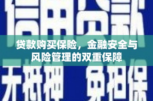 龙口贷款购买保险，金融安全与风险管理的双重保障