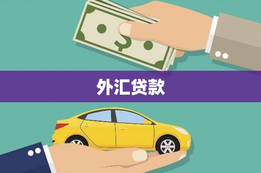 龙口外汇贷款