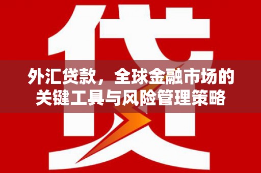 龙口外汇贷款，全球金融市场的关键工具与风险管理策略