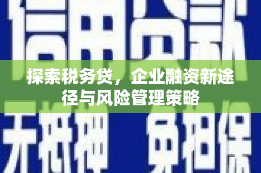 龙口探索税务贷，企业融资新途径与风险管理策略