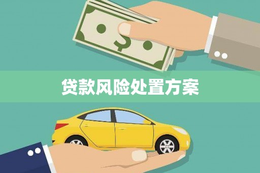 龙口贷款风险处置方案