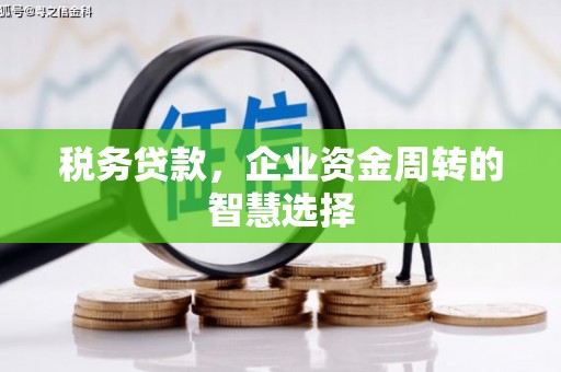 龙口税务贷款，企业资金周转的智慧选择
