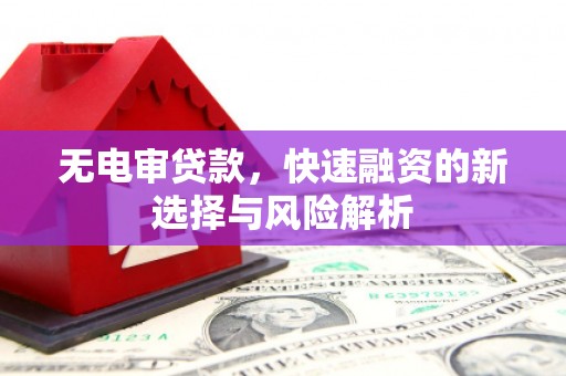 龙口无电审贷款，快速融资的新选择与风险解析
