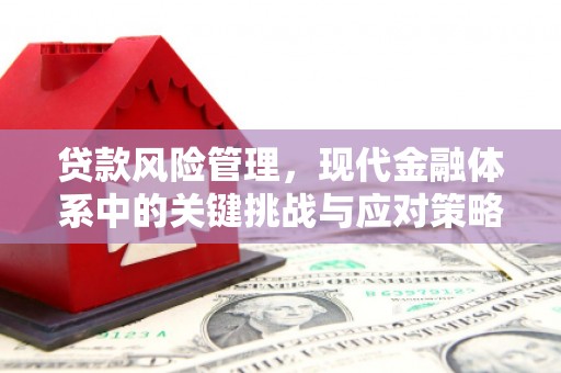 龙口贷款风险管理，现代金融体系中的关键挑战与应对策略