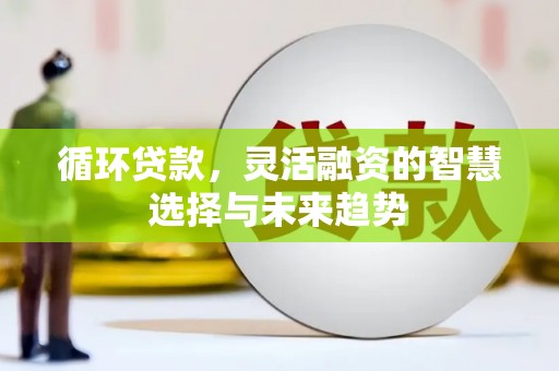 龙口循环贷款，灵活融资的智慧选择与未来趋势