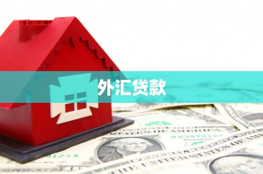 龙口外汇贷款