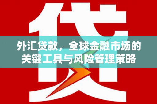 龙口外汇贷款，全球金融市场的关键工具与风险管理策略