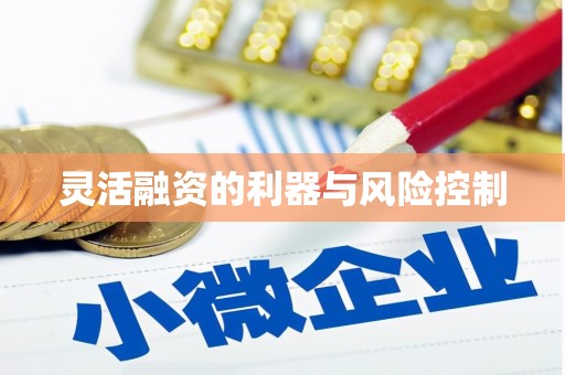 龙口灵活融资的利器与风险控制