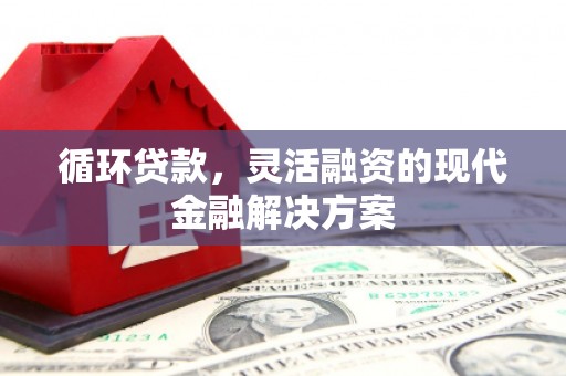 龙口循环贷款，灵活融资的现代金融解决方案