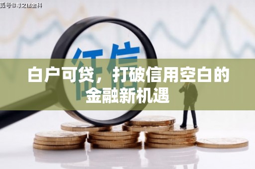 龙口白户可贷，打破信用空白的金融新机遇